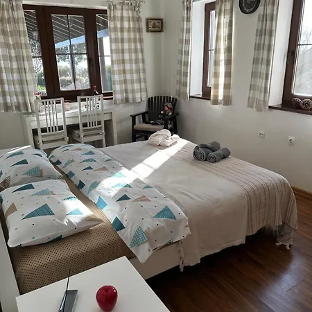 Vera Homestay